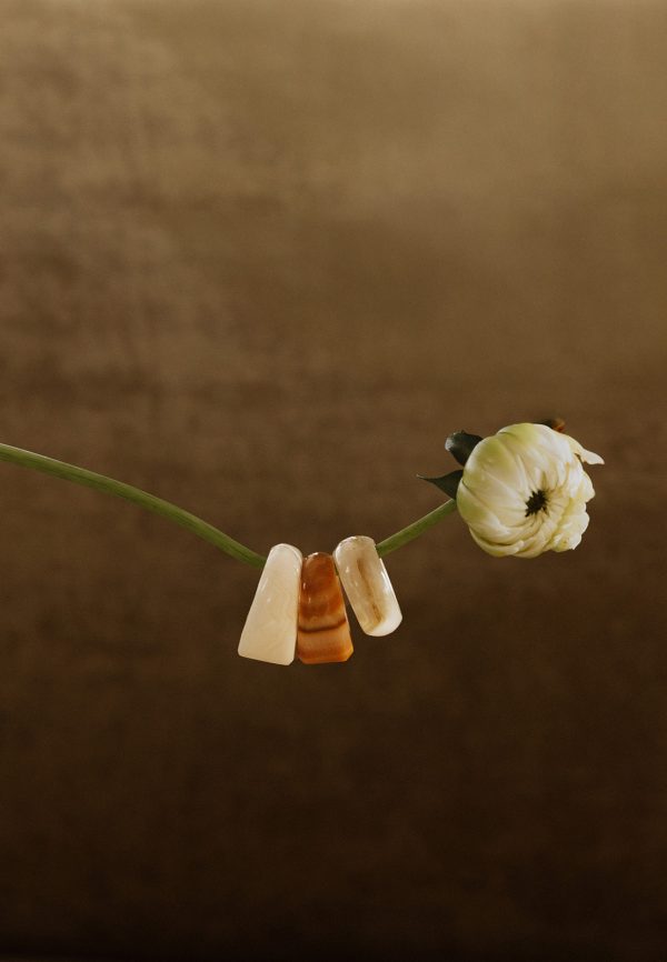  - Imagen 4